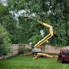 Best Lawn Irrigation Installation and Maintenance  in Emerald Lake Hills, CA