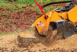 Best Lawn Pest Prevention  in Emerald Lake Hills, CA